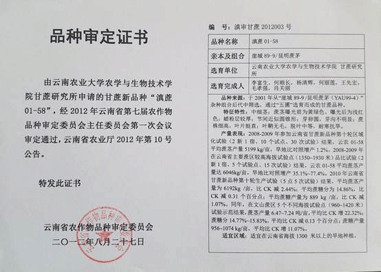 自育甘蔗品种:滇蔗01-58