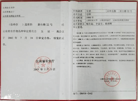 引进甘蔗品种1:新台糖22号